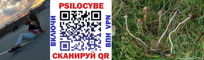 как найти   Елизаветинская  Псилоцибиновые грибы Psilocybine cubensis 